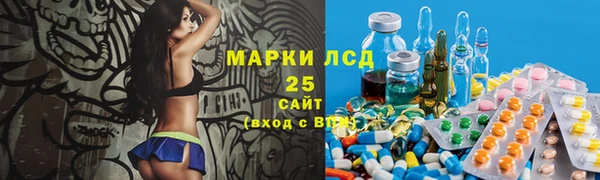 прущий лед Алзамай