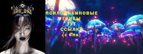 прущий лед Алзамай
