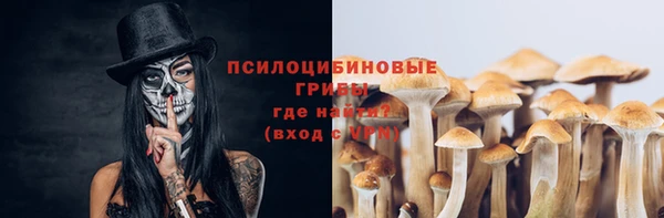 прущий лед Алзамай