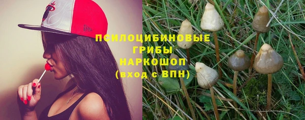 прущий лед Алзамай