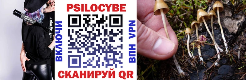 Псилоцибиновые грибы Psilocybe  дарнет шоп  Бугуруслан 
