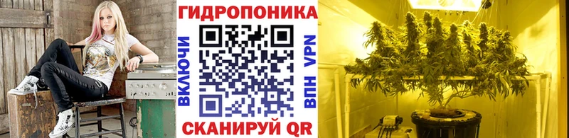 закладка  KRAKEN онион  Бошки Шишки сатива  Бугуруслан 